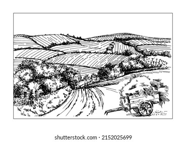 Rural scenery landscape panorama of countryside pastures. Green grass field on small hills. Vector sketch illustration