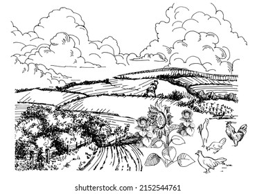 Rural scenery landscape panorama of countryside pastures. Green grass field on small hills. Vector sketch illustration
