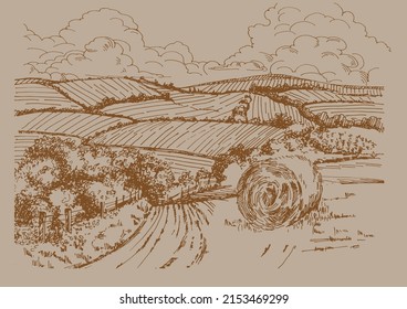 Rural scenery landscape panorama of countryside pastures. Green grass field on small hills. Vector sketch illustration