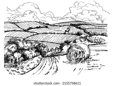 Rural scenery landscape panorama of countryside pastures. Green grass field on small hills. Vector sketch illustration
