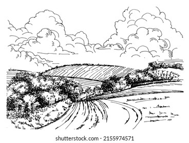 Rural scenery landscape panorama of countryside pastures. Green grass field on small hills. Vector sketch illustration
