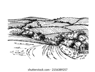 Rural scenery landscape panorama of countryside pastures. Green grass field on small hills. Vector sketch illustration
