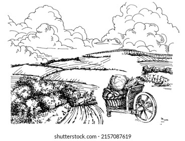 Rural scenery landscape panorama of countryside pastures. Green grass field on small hills. Vector sketch illustration
