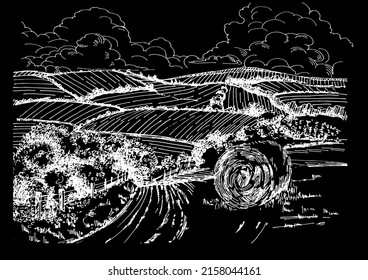 Rural scenery landscape panorama of countryside pastures. Green grass field on small hills. Vector sketch illustration
