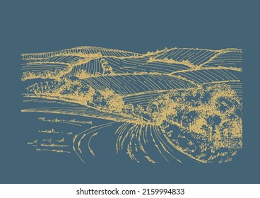 Rural scenery landscape panorama of countryside pastures. Green grass field on small hills. Vector sketch illustration
