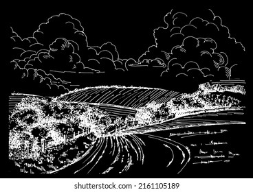 Rural scenery landscape panorama of countryside pastures. Green grass field on small hills. Vector sketch illustration
