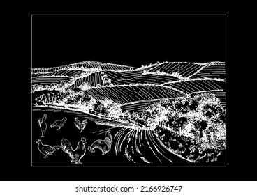 Rural scenery landscape panorama of countryside pastures. Green grass field on small hills. Vector sketch illustration