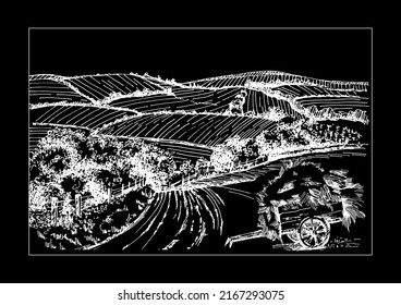 Rural scenery landscape panorama of countryside pastures. Green grass field on small hills. Vector sketch illustration