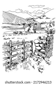 Rural scenery landscape panorama of countryside pastures. Green grass field on small hills. Vector sketch illustration
