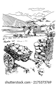 Rural scenery landscape panorama of countryside pastures. Green grass field on small hills. Vector sketch illustration