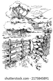 Rural scenery landscape panorama of countryside pastures. Green grass field on small hills. Vector sketch illustration
