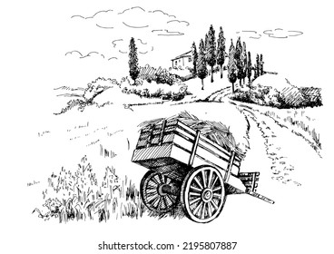Rural scenery landscape panorama of countryside pastures. Green grass field on small hills. Vector sketch illustration
