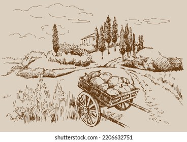 Rural scenery landscape panorama of countryside pastures. Green grass field on small hills. Vector sketch illustration
