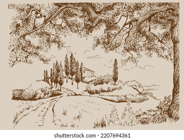 Rural scenery landscape panorama of countryside pastures. Green grass field on small hills. Vector sketch illustration
