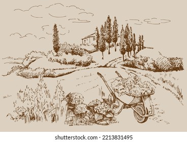 Rural scenery landscape panorama of countryside pastures. Green grass field on small hills. Vector sketch illustration