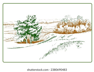 Rural scenery landscape panorama of countryside pastures. Green grass field on small hills. Vector sketch illustration
