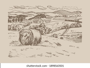Rural scenery. Meadow, alkali, lye, grassland, pommel, lea, pasturage, farm. Rural scenery landscape panorama of countryside pastures. Vector sketch illustration