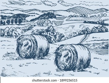 Rural scenery. Meadow, alkali, lye, grassland, pommel, lea, pasturage, farm. Rural scenery landscape panorama of countryside pastures. Vector sketch illustration