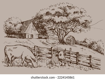 Rural scenery. Meadow, alkali, lye, grassland, pommel, lea, pasturage, farm. Rural scenery landscape panorama of countryside pastures. Vector sketch illustration