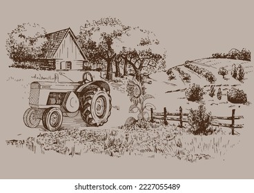 Rural scenery. Meadow, alkali, lye, grassland, pommel, lea, pasturage, farm. Rural scenery landscape panorama of countryside pastures. Vector sketch illustration