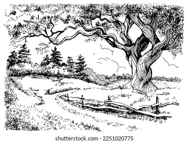 Rural scenery. Meadow, alkali, lye, grassland, pommel, lea, pasturage, farm. Rural scenery landscape panorama of countryside pastures. Vector sketch illustration