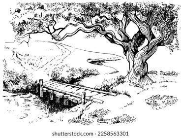 Rural scenery. Meadow, alkali, lye, grassland, pommel, lea, pasturage, farm. Rural scenery landscape panorama of countryside pastures. Vector sketch illustration
