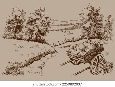 Rural scenery. Meadow, alkali, lye, grassland, pommel, lea, pasturage. Rural scenery landscape panorama of countryside pastures. Vector sketch illustration
