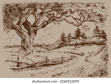 Rural scenery. Meadow, alkali, lye, grassland, pommel, lea, pasturage. Rural scenery landscape panorama of countryside pastures. Vector sketch illustration
