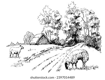 Rural scenery. Meadow, alkali, lye, grassland, pommel, lea, pasturage, farm. Vector sketch illustration
