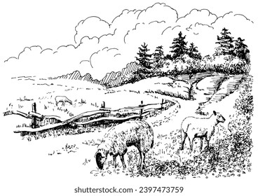 Rural scenery. Meadow, alkali, lye, grassland, pommel, lea, pasturage, farm. Vector sketch illustration
