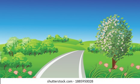 Rural spring landscape with a blossom tree, bushes and a road between hills. Vector illustration.