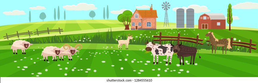 Rural spring landscape countryside with farm field with green grass, flowers, trees. Farmland with house, windmill and hay stacks. With farm animals cow, sheep, goat, bull. Outdoor village scenery