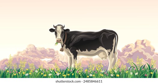 Rural summer landscape with cow. Cow in a rural meadow among flowering grasses against the backdrop of sunset and cumulus clouds. Vector illustration.