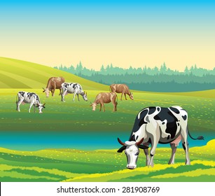 Rural summer landscape with cows and green meadow. Vector nature illustration.