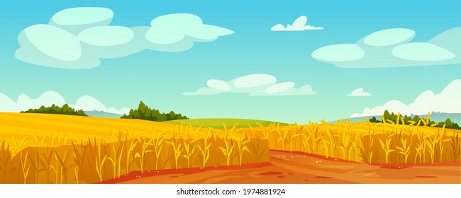 Rural summer landscape, field of ripe wheat on hills and dales, rural landscape trees, forest panorama on background. Organic grain, rye or oats cereal plants, malts abundance fertility, agriculture