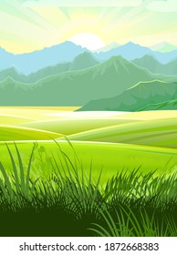 Rural summer landscape. Nice view of the horizon. Fields, meadows and green grassy pastures. Bright sun with rays. Morning beautiful scenery. Vector