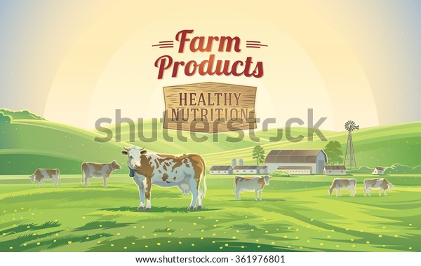 Rural Sunrise Landscape Cows Farm Background Stock Vector (Royalty Free ...