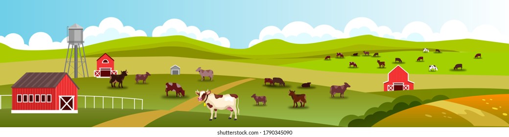 Rural vector landscape with grazing cows, barn, water tower, green hills, village road. Farm landscape in flat style with livestock, fields, meadow. Rural panoramic view with pasture, clouds, skyline