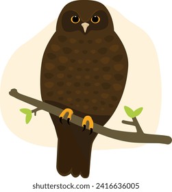 Ruru Morepork Owl  Native Aotearoa New Zealand Bird Flat Graphic Vector Illustration on Isolated Background