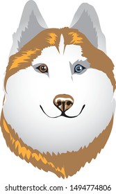 Rusaian Husky Dog Head - Vector