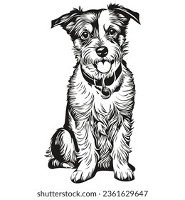 Russell Terrier dog line illustration, black and white ink sketch face portrait in vector