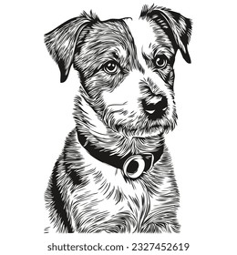 Russell Terrier dog realistic pet illustration, hand drawing face black and white vector realistic breed pet