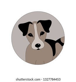 Russell Terrier puppy head,   vector illustration, front side