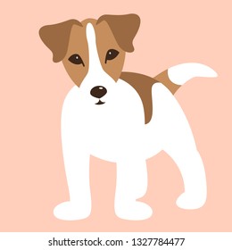 Russell Terrier puppy,   vector illustration, flat style