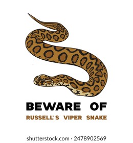 Russell's Viper snake illustration design 