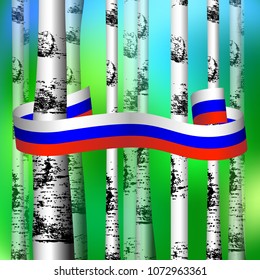 Russia Day. Official Russian holiday. 12 june. Green blurred background. Trunks of birches. White blue red ribbon is between them.