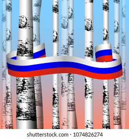 Russia Day. Official Russian holiday. 12 june. Evening sky. Trunks of birches. White blue red ribbon is between them