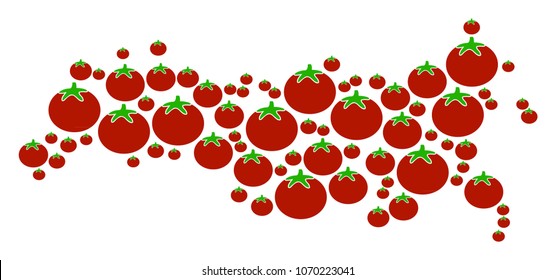 Russia Map collage of tomato vegetables in various sizes. Vector tomatoes elements are organized into russia map mosaic. Vegan vector design concept.