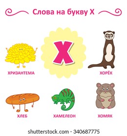 Russian alphabet. The words of that letter. Chrysanthemum, Bread, Chameleon, Weasel, Hamster.