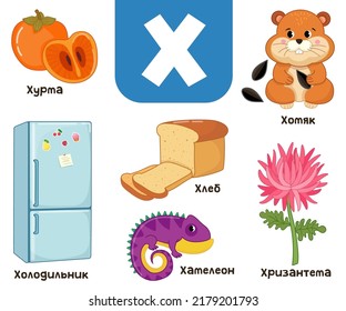 Russian alphabet. Written in Russian refrigerator, persimmon, hamster, bread, chrysanthemum, chameleon